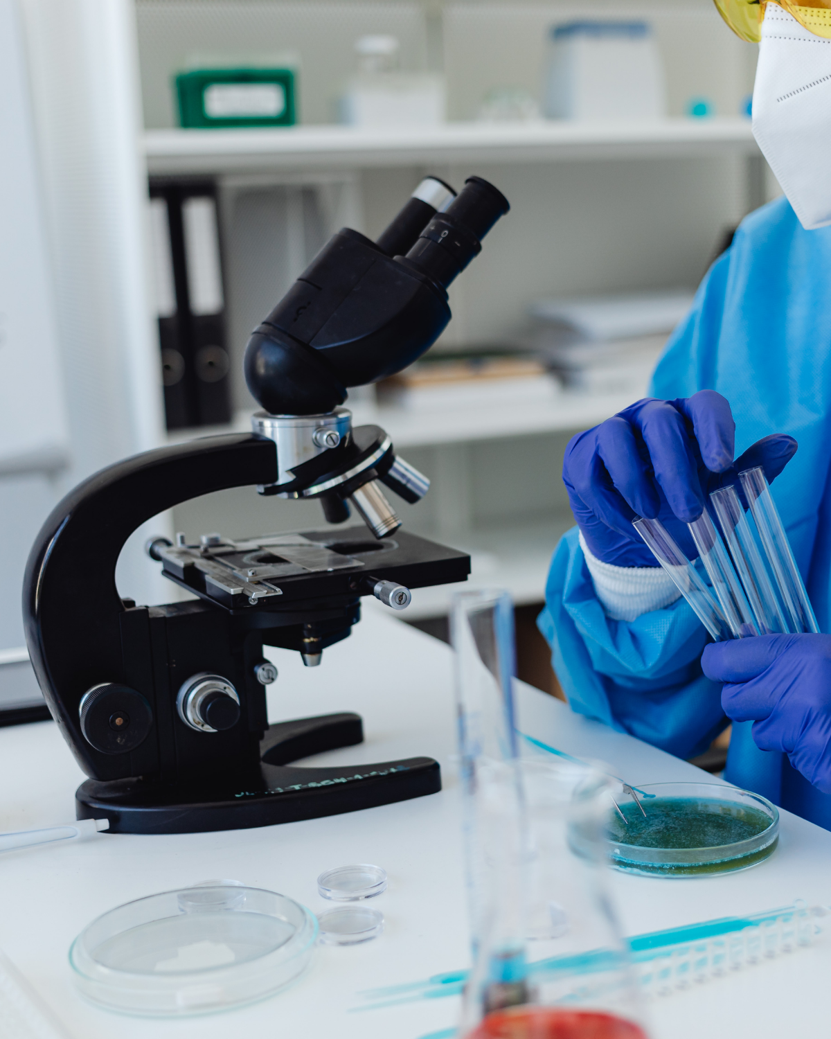 IVF laboratory microscope